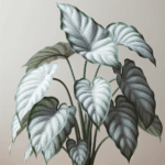 Philodendron White Princess variegated leaf featured image